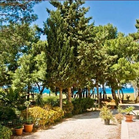 Appartamento I Tramonti Di Cofano Castelluzzo Bagian luar foto