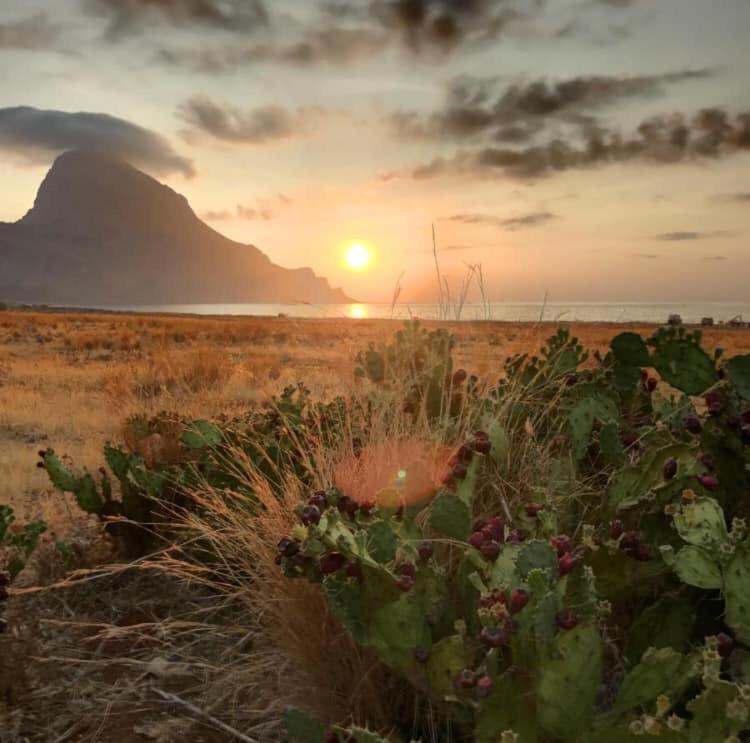 Appartamento I Tramonti Di Cofano Castelluzzo Bagian luar foto