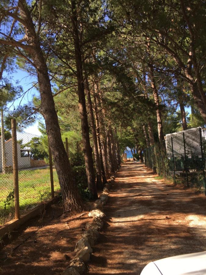 Appartamento I Tramonti Di Cofano Castelluzzo Bagian luar foto