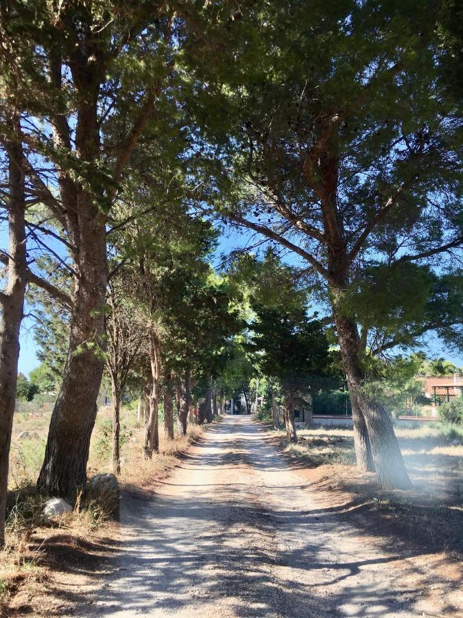 Appartamento I Tramonti Di Cofano Castelluzzo Bagian luar foto