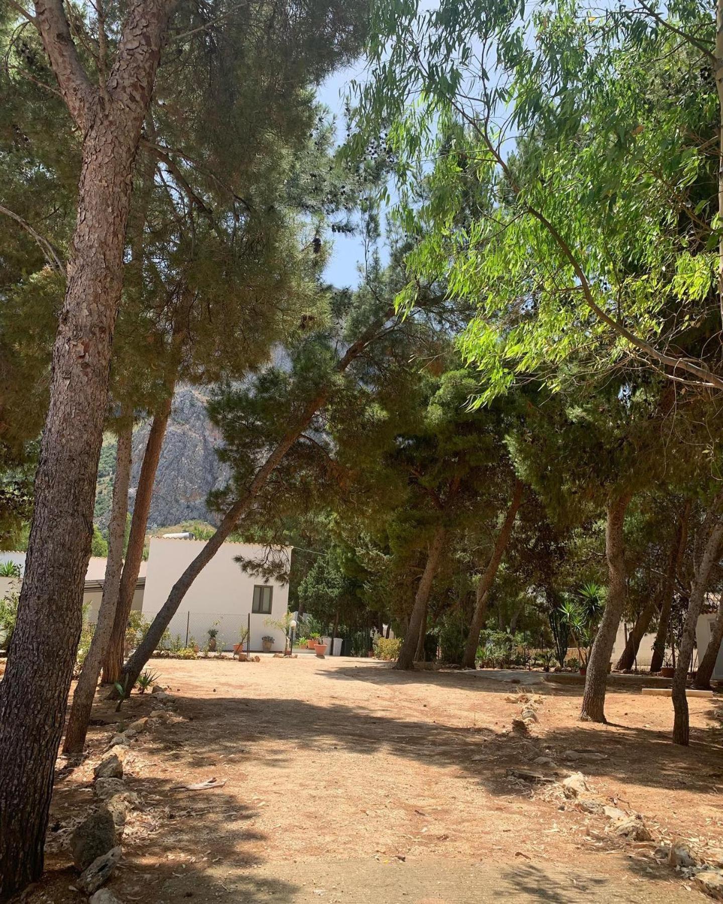 Appartamento I Tramonti Di Cofano Castelluzzo Bagian luar foto