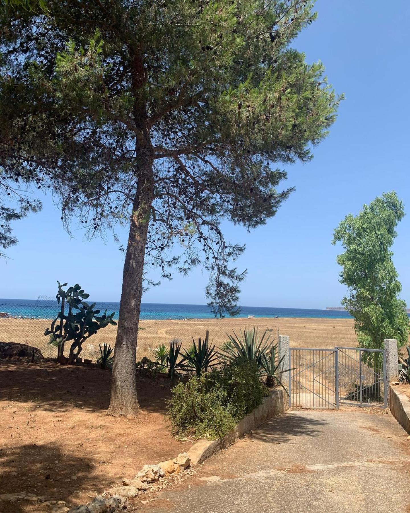 Appartamento I Tramonti Di Cofano Castelluzzo Bagian luar foto