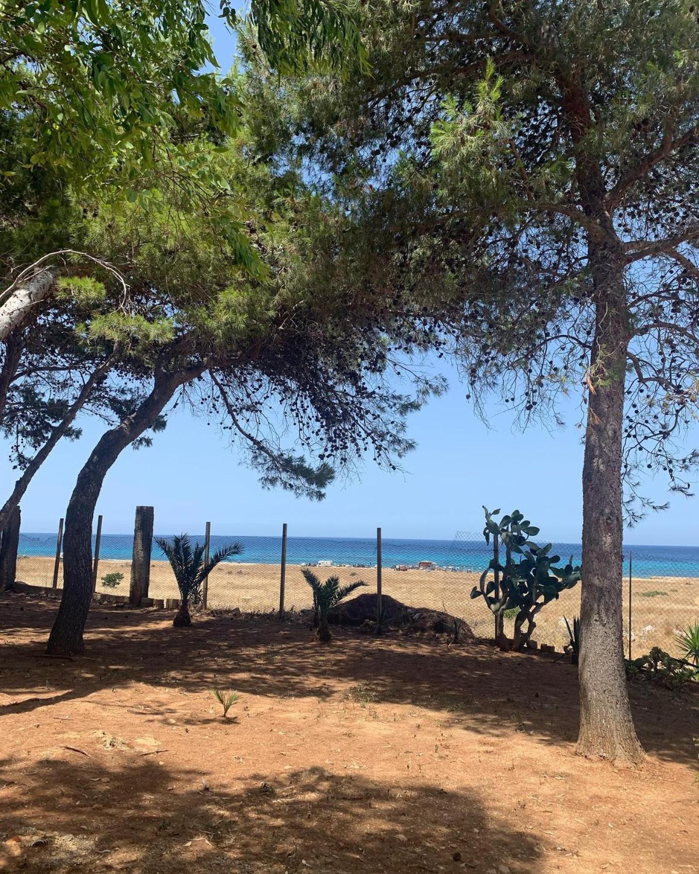Appartamento I Tramonti Di Cofano Castelluzzo Bagian luar foto